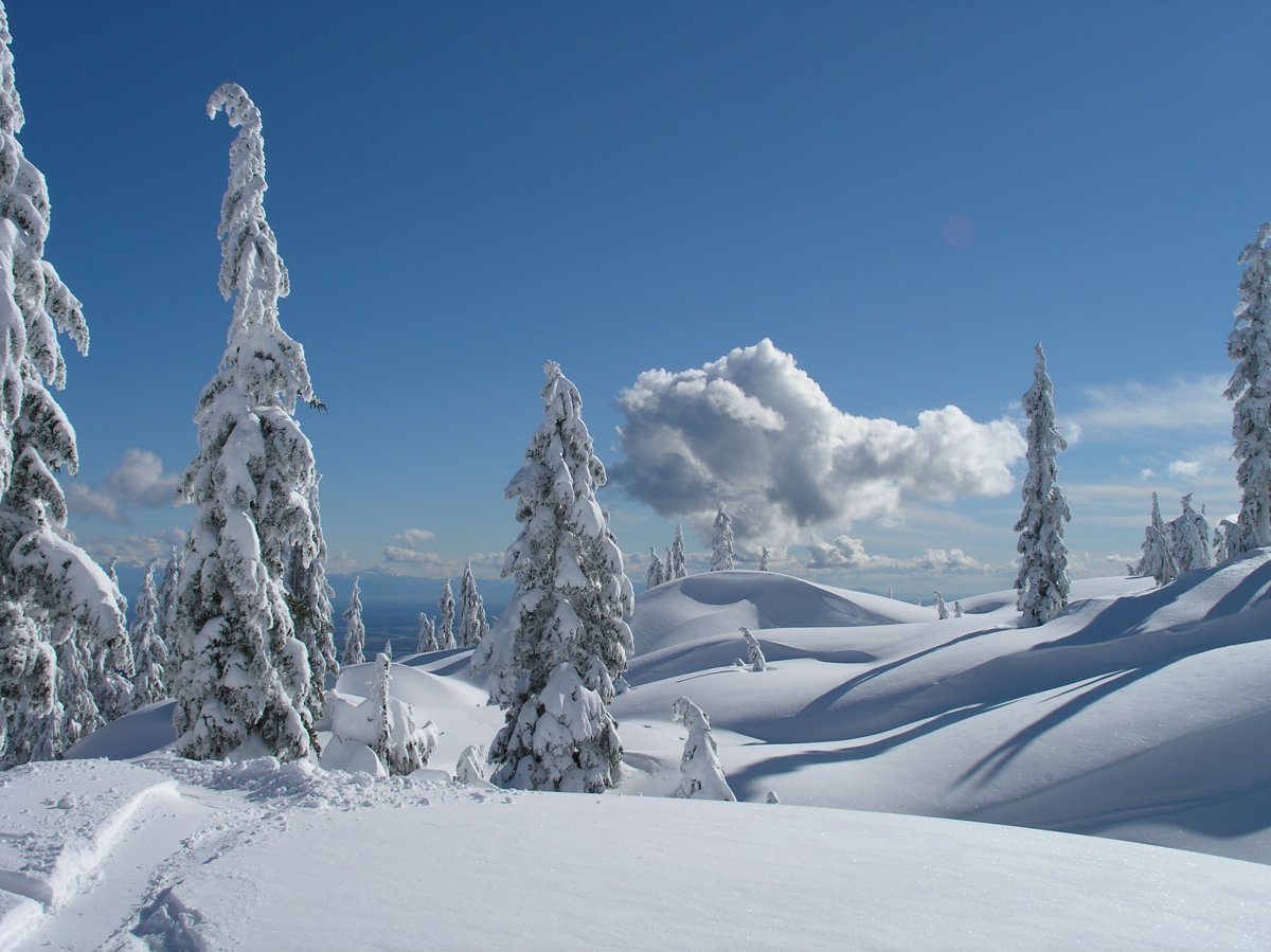 File photo. North Shore Rescue is searching for a lost skier on Mt. Seymour.