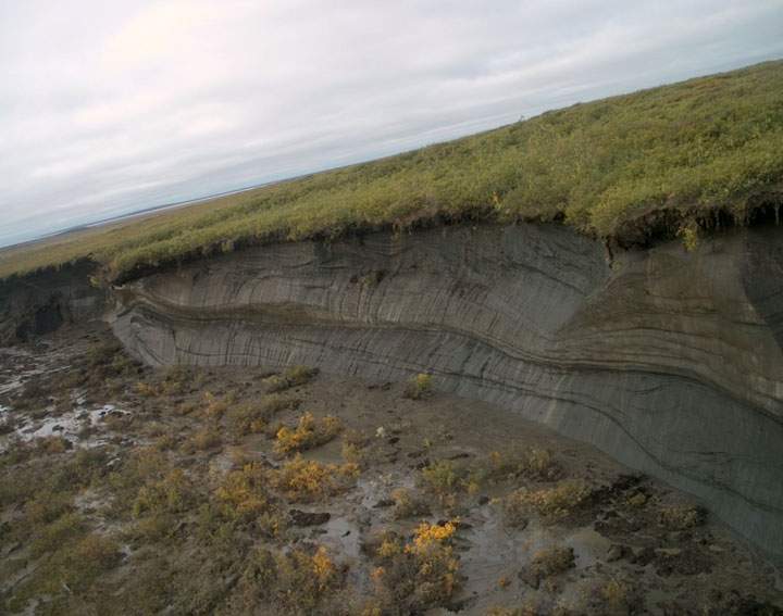 A thaw slump in the Mackenzie Delta. Image courtesy of Steve Kokelj, Government of the Northwest Territories