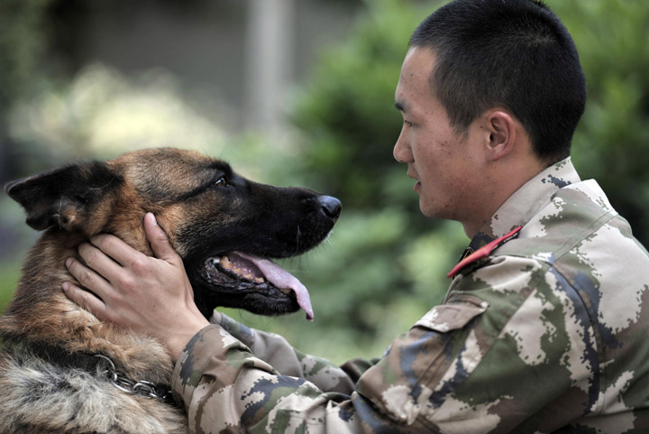 6 heartbreaking images of a veteran and his military dog saying goodbye ...