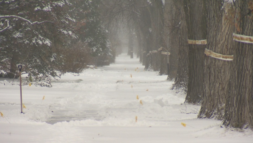 The snow has fallen and city streets look like a Winter Wonderland.