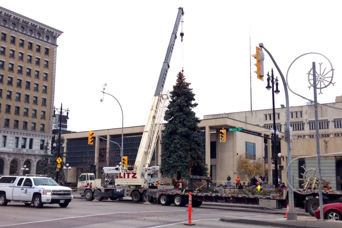 Winnipeg city workers erect a Christmas tree at city hall: workers like these could be forced to take 3.5 unpaid days off as a cost cutting measure.