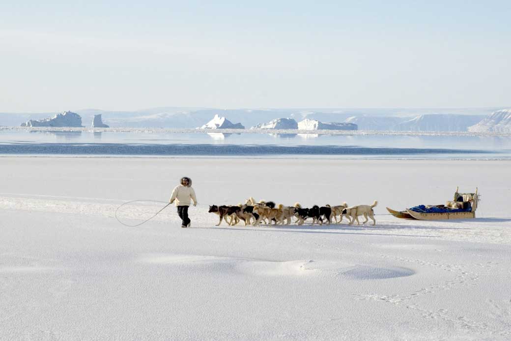 Hunters in the Arctic are seeing changes in the migration patterns of wildlife. (Louise Murray / Rex Features)
