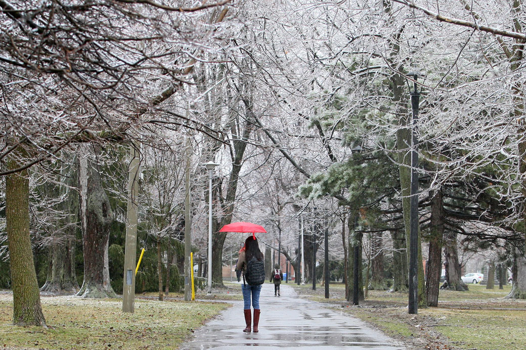 Freezing rain warnings have been issued for the Kingston area over the weekend. Environment Canada has also warned of the possibility of high winds reaching up to 60 km/h.