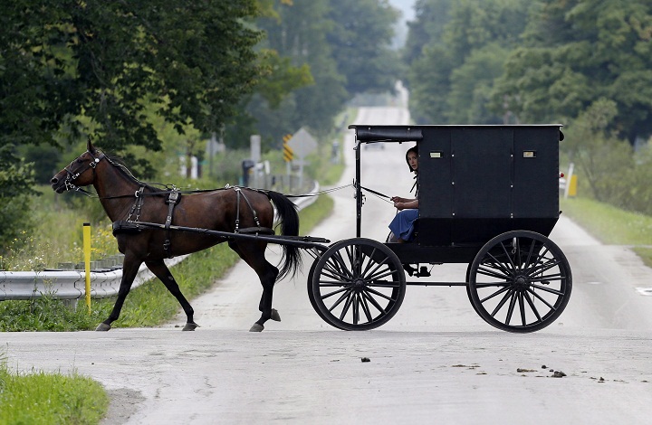 An Amish girl pears out from a buggy as it rides through an intersection Tuesday, Aug. 27, 2013, in Middlefield, Ohio.