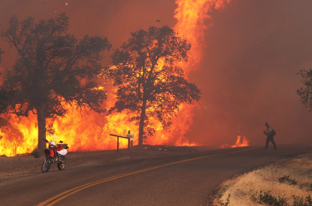 In this Sept. 9, 2013 file photo, a firefighter works the Clover Fire on Gas Point Road in Anderson, Calif.