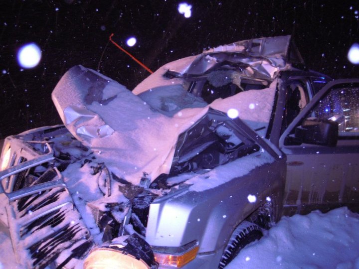 Alberta SUV driver survives collision with moose Globalnews.ca