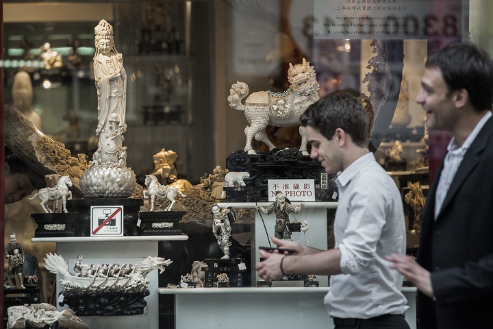  This picture taken on February 27, 2013 shows a pedestrian walking past a shop window displaying ivory carvings in Hong Kong. Surging demand for ivory and rhino horn in Asia is behind an ever-mounting death toll of African elephants and rhinos, conservationists say, as authorities fail to rein in hugely lucrative international smuggling networks.