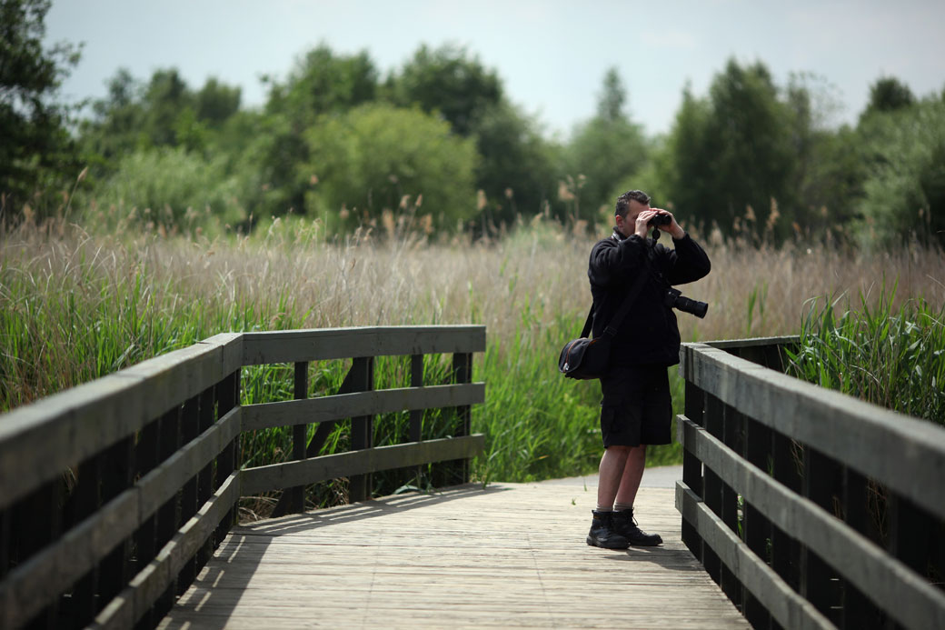 Binoculars can be used for birding or astronomy.  (Photo by Dan Kitwood/Getty Images)