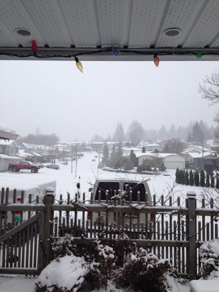 Light snow falling across South Coast BC Globalnews.ca