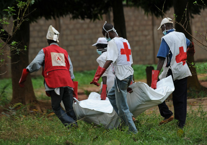 Red Cross workers recover bodies in Central African Republic's capital city