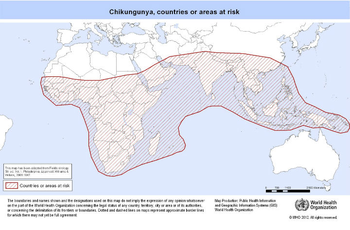 A map of areas where chikungunya is known to exist.