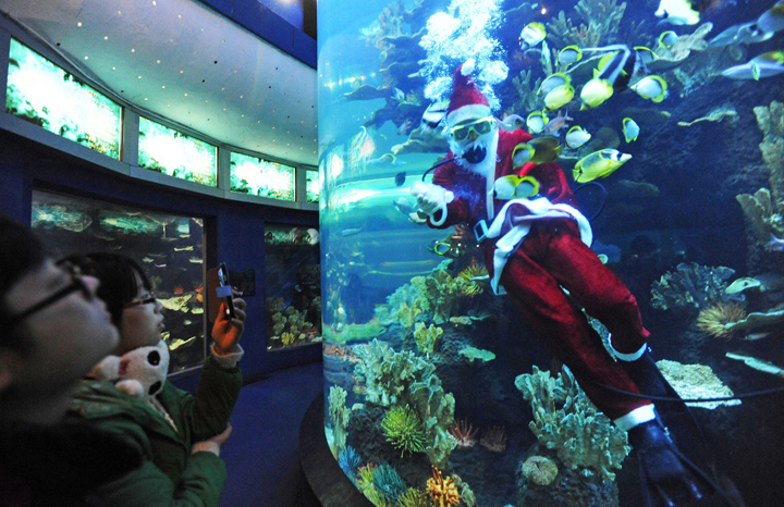 A diver dressed in a Santa Claus costume swims with fish at Qingdao Underwater World on December 24, 2013 in Qingdao, China.
