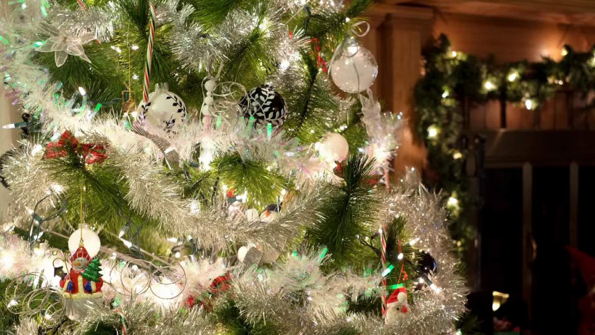 Winnipeg Christmas tree recycling