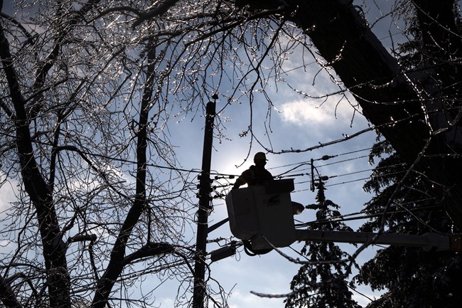 Thousands without power as high winds down trees, hydro lines - Toronto ...