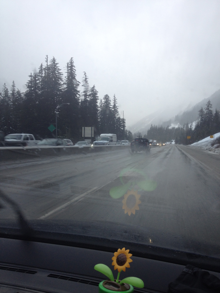 Traffic backup from the accident. Credit: Crystal Ashe.