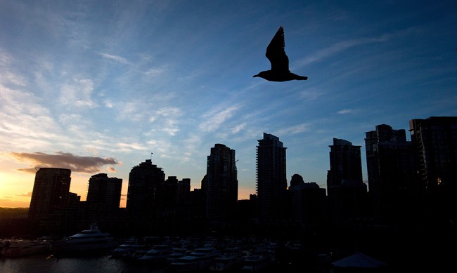 A seagull flies past Yaletown condos at sunset in Vancouver, on February 25, 2013.