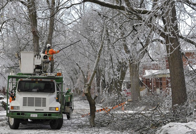 Toronto police go door-to-door looking for vulnerable residents facing power outages - image