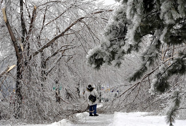 A pedestrian is blocked by fallen tree branches covering a sidewalk in Brampton, Ont., Monday, December 23, 2013.