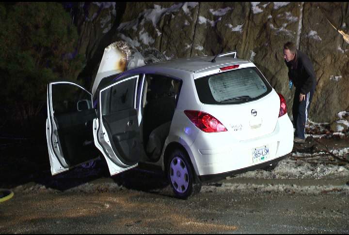 Car burst into flames after smashing into tree - image