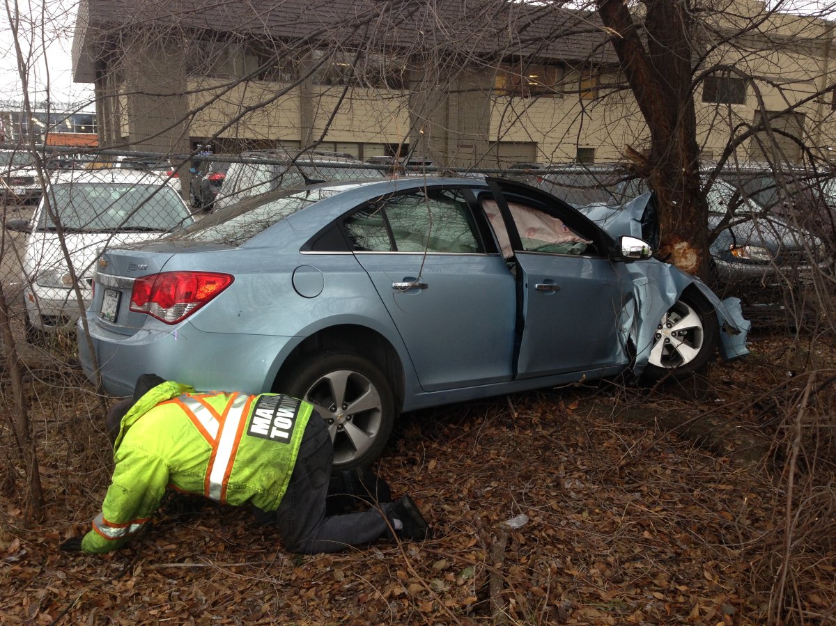 Vehicle crashes into tree, two taken to hospital - image