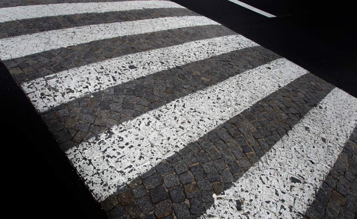 Police say a man was walking two small dogs in a marked, lit crosswalk in Victoria when the incident happened.