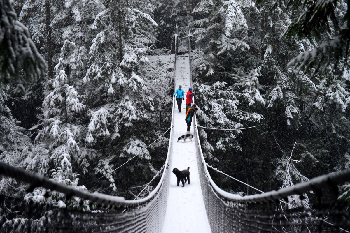 Grant Mattice - Lynn Canyon.