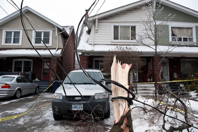 A power line is wrapped around a fallen tree branch on Dawes Road in Scarborough,
