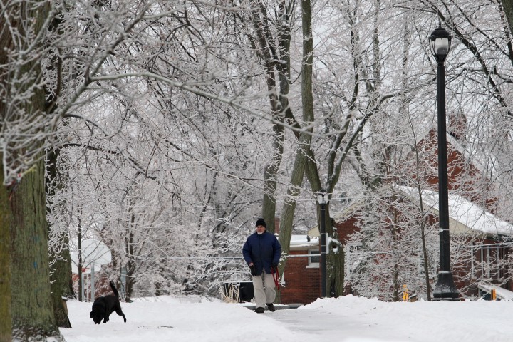 A man walks his dog in a park in Kingston, Ont., on Saturday December 21, 2013. THE CANADIAN PRESS/Lars Hagberg.