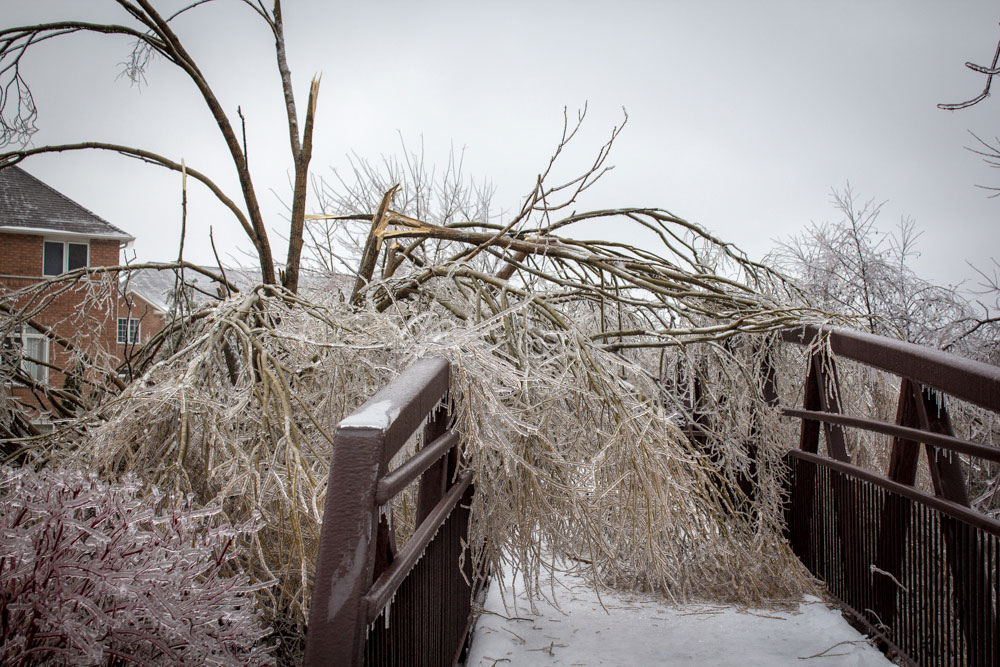 Broken tree branches cover a foot bridge in Richmond Hill, just north of Toronto.