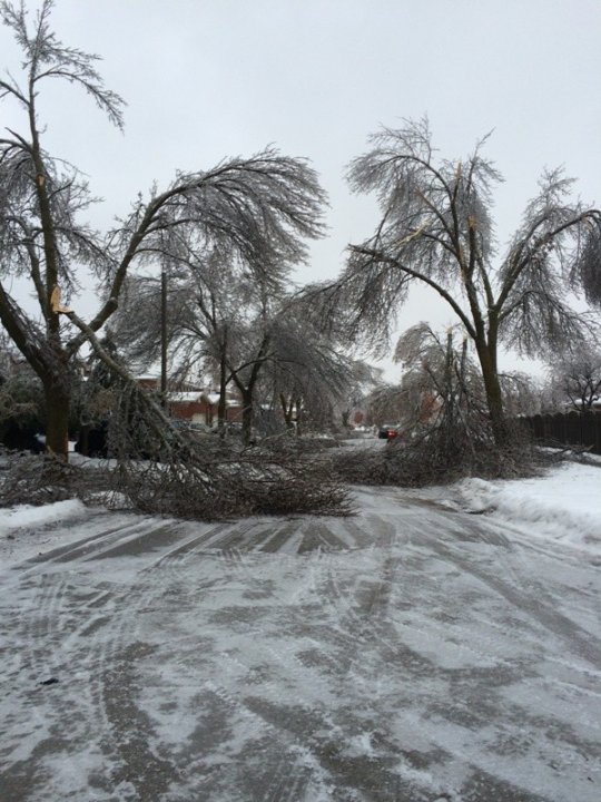 Video and images from the eastern Canada ice storm Globalnews.ca