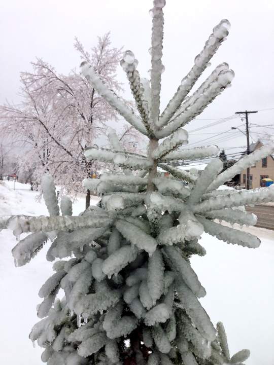 Snow, ice pellets and freezing rain hitting Eastern Canada this weekend ...