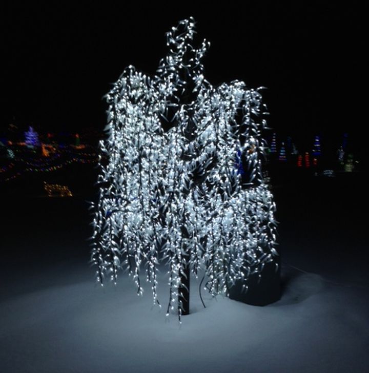 Leduc County acreage transformed into a winter wonderland Edmonton