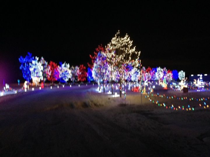 Leduc County acreage transformed into a winter wonderland Edmonton