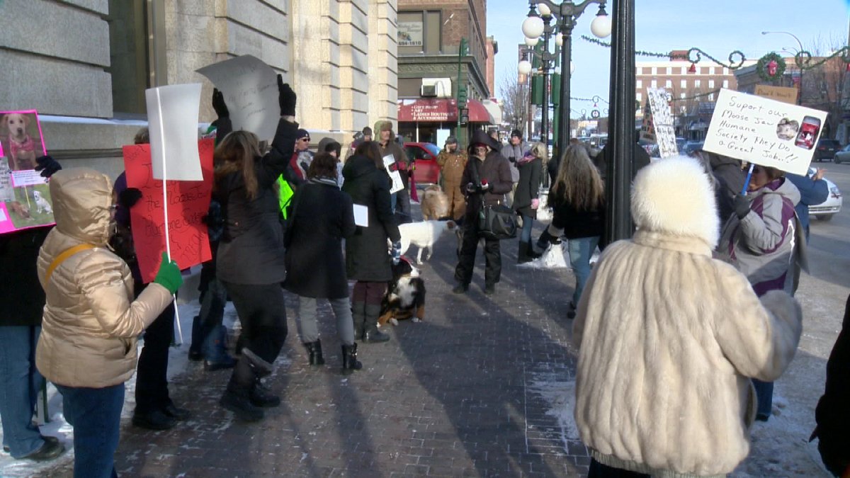 A couple dozen concerned residents rally in Moose Jaw Friday afternoon to show support for the Humane Society.