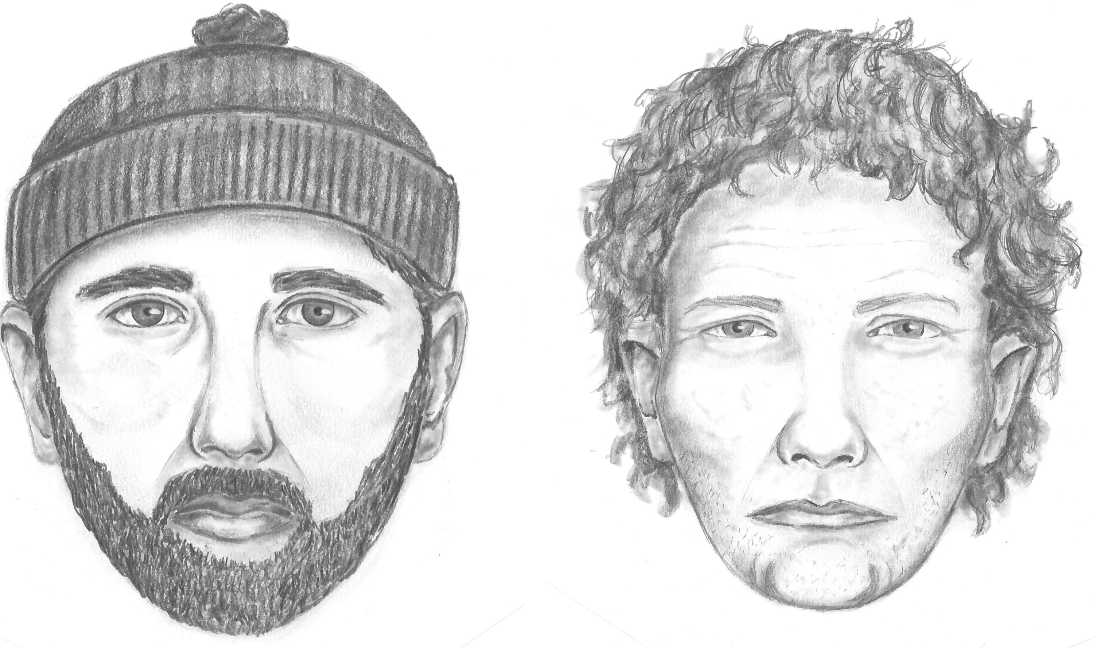 Suspected serial thieves - image
