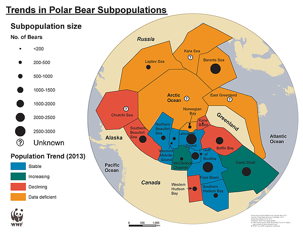 Map showing polar bear populations.