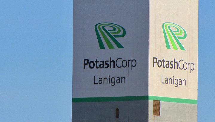 Saskatchewan Premier Brad Wall says PotashCorp cut workers to preserve dividends for shareholders.