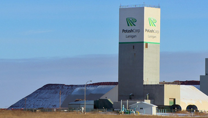 Saskatchewan mine workers are devastated after PotashCorp announces mass layoffs, as a result of sluggish market demand.