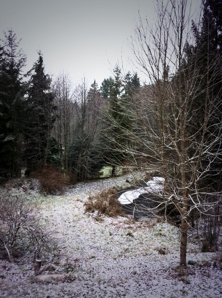 Vancouver Island gets snow while rest of B.C. will freeze as temps drop