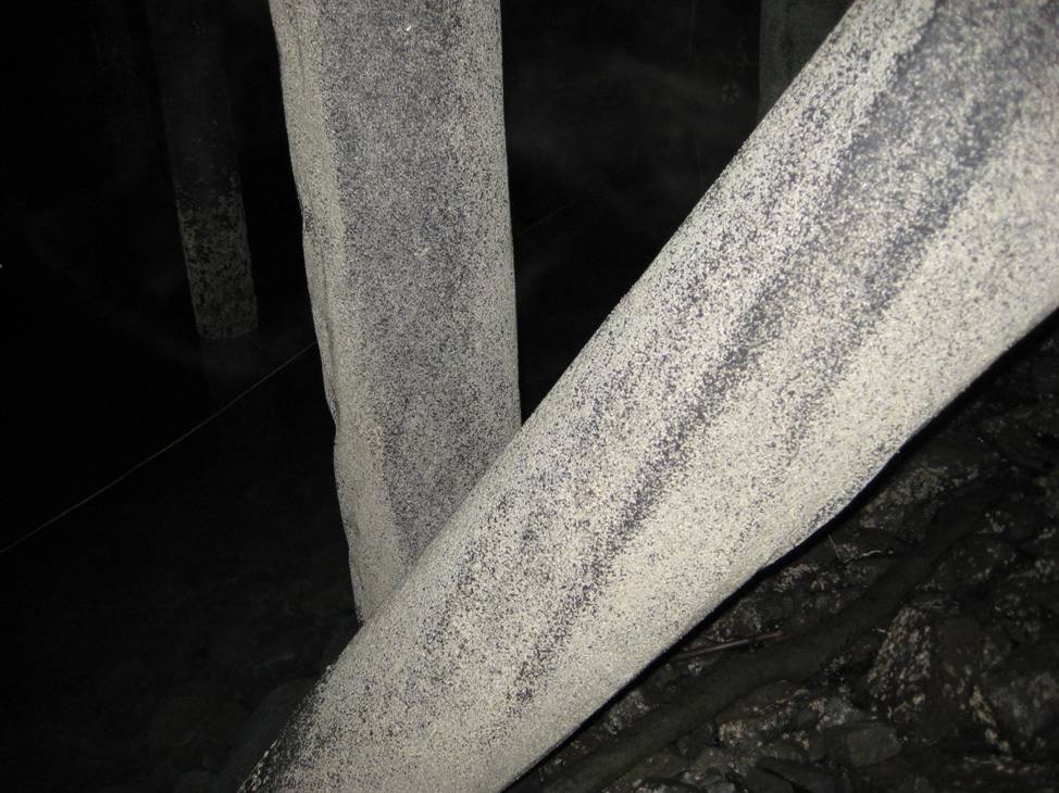 Spawn in Squamish in 2012.