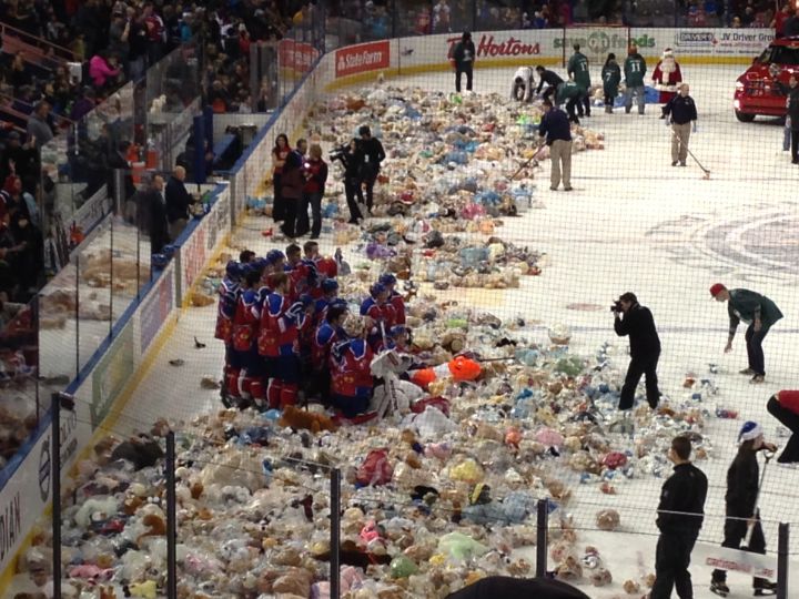 Teddy Bear Toss