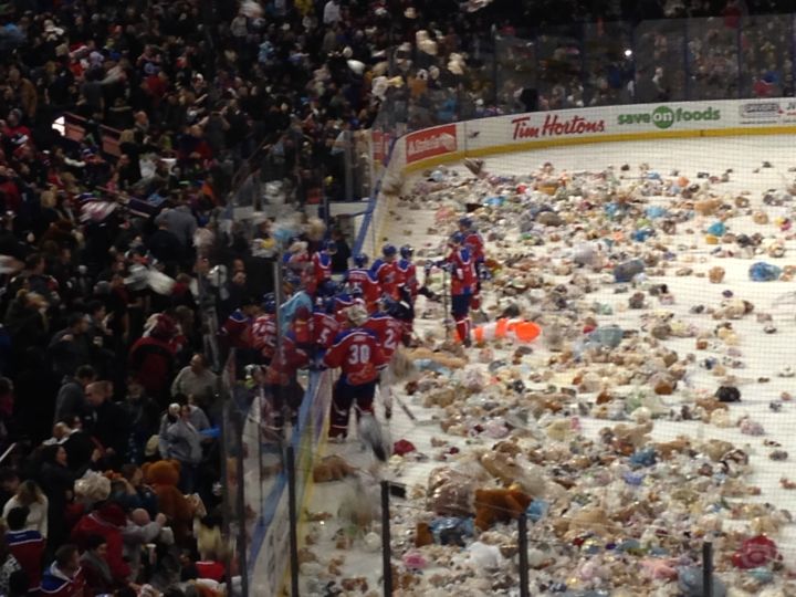Teddy Bear Toss