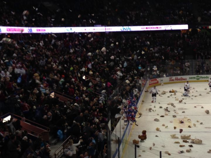 Teddy Bear Toss
