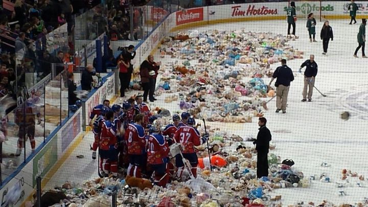 Teddy Bear Toss
