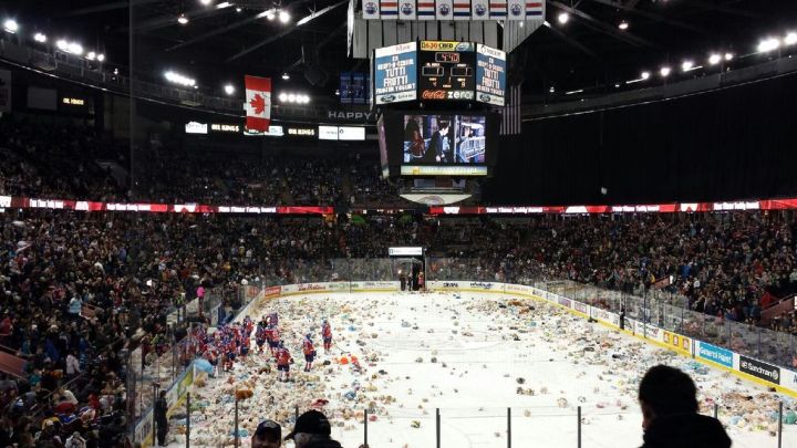 Teddy Bear Toss