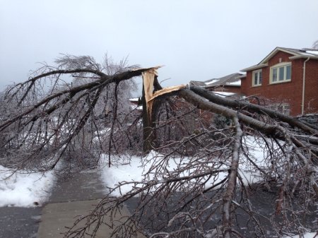 Video and images from the eastern Canada ice storm | Globalnews.ca