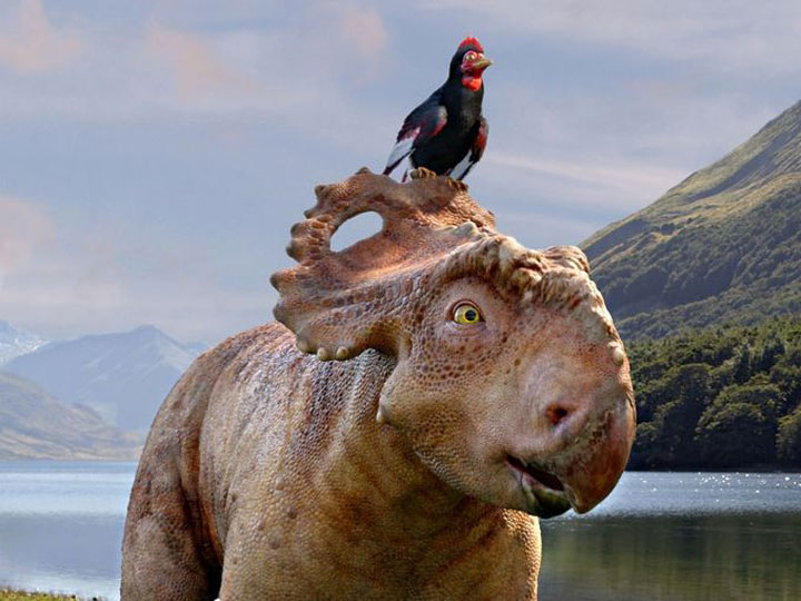 A scene from 'Walking With Dinosaurs 3D.'.