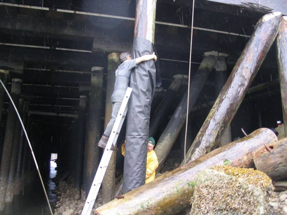 Scott and Patrick covering plastic with weed control material.