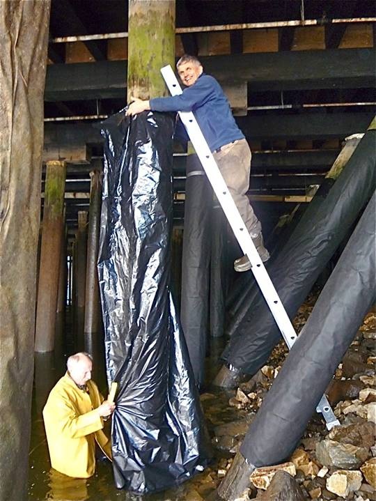 Jonn and Patrick wrapping with plastic to block creosote.