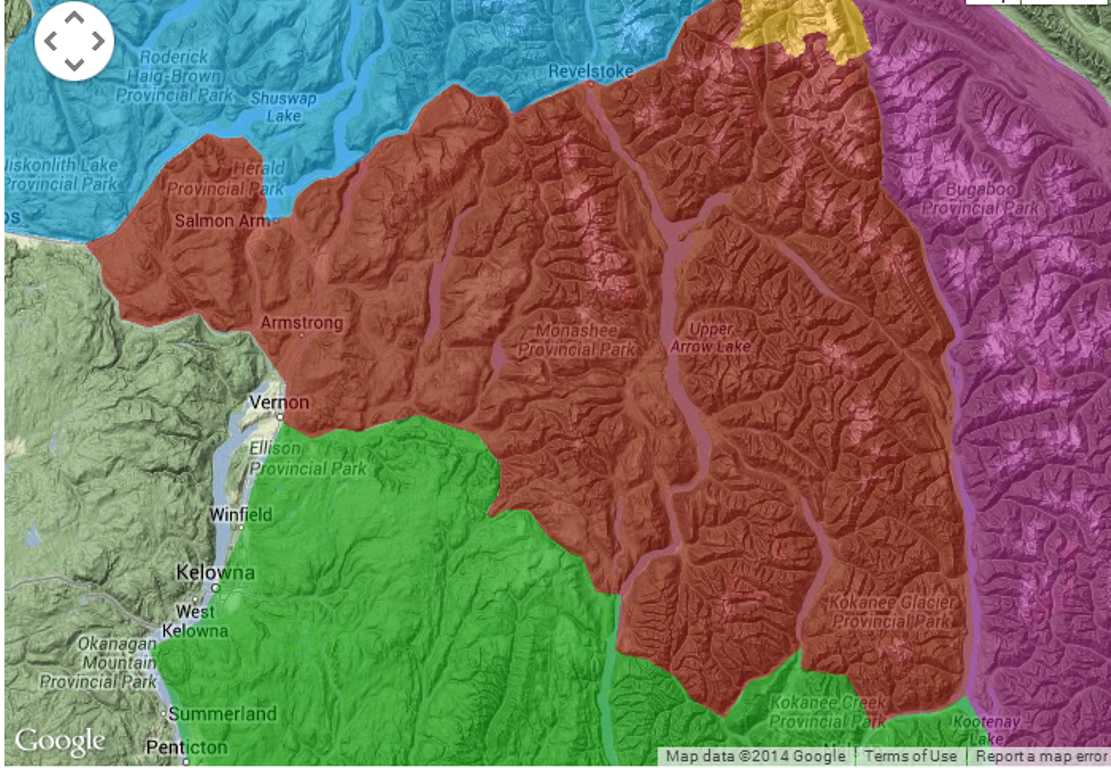 Avalanche danger in backcountry - image